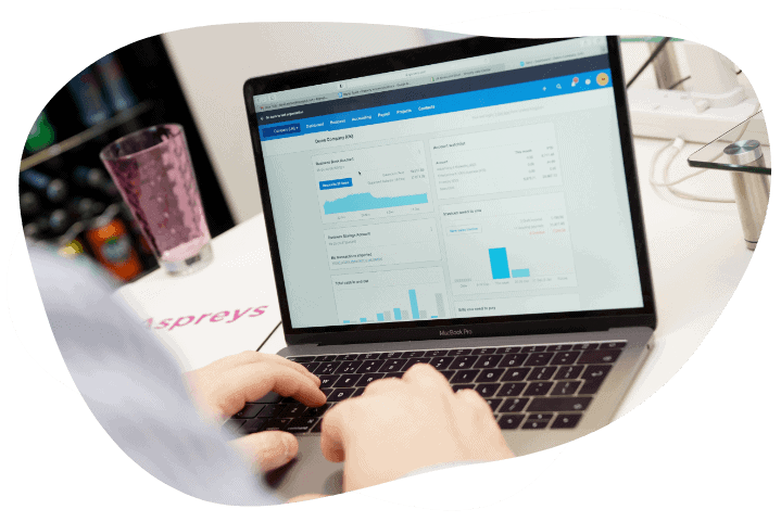 company annual accounts